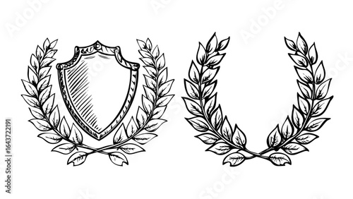 Shield drawing with laurel wreath and leaves vector illustration heraldic emblem achievement 100 char