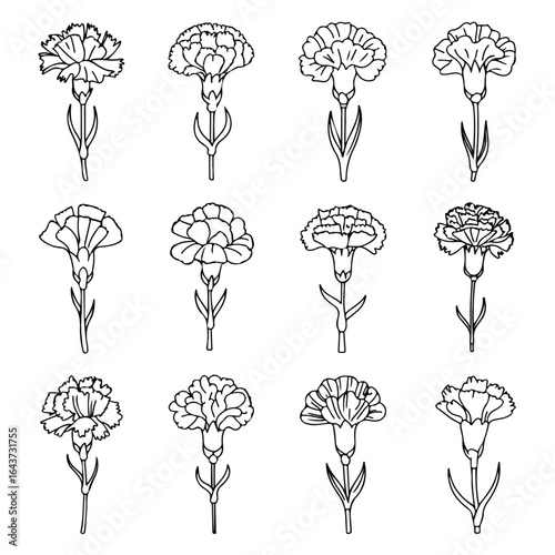 Twelve carnation flower illustrations in a grid pattern on white page icon set
