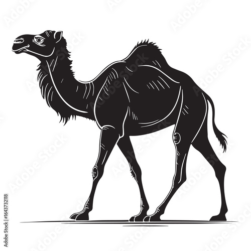 black arabian camel Silhouette Vector, High Quality Illustration on White Background