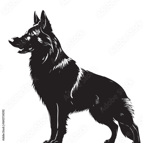 black belgian Silhouette Vector, High Quality Illustration on White Background
