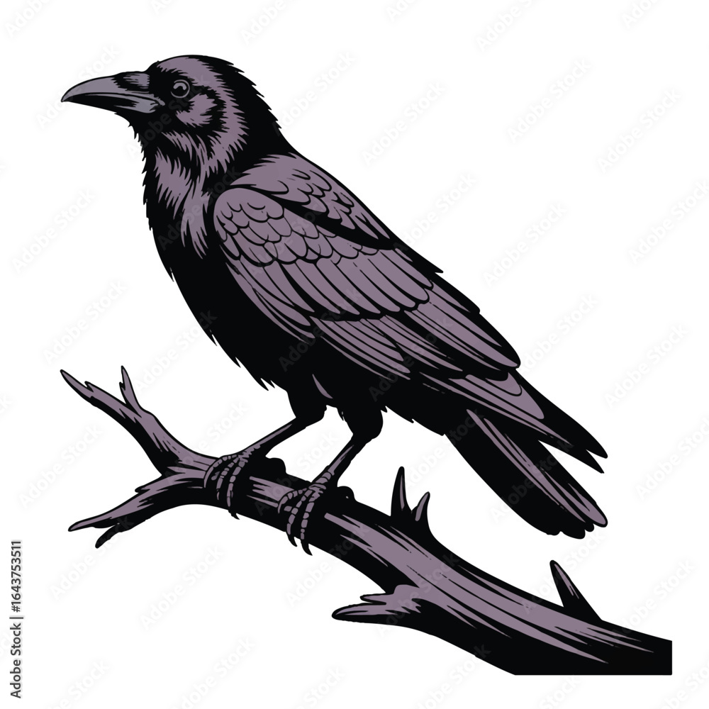 Fototapeta premium Black crow or raven perched on a tree branch, isolated on white background