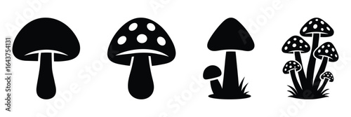 Four different mushroom silhouettes, minimal black and white mushroom, mushrooms vector illustration, simple toadstool shapes for decoration and branding.
