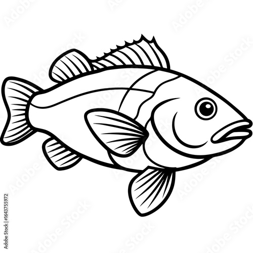 Grouper line art vector