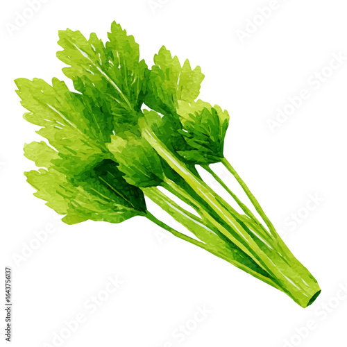 My Watercolor illustration, celery stalk in side view painting isolated on a white background, illustration, AI painting design, vector illustration set, eps format	