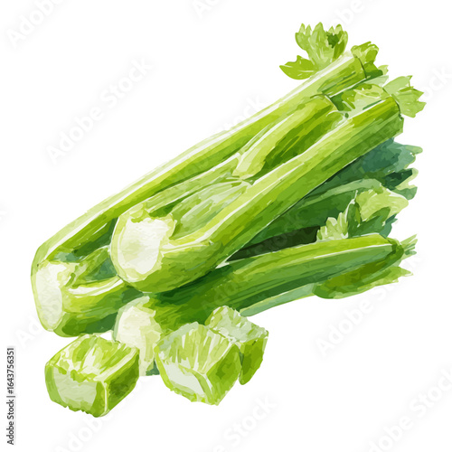 My Watercolor illustration, chopped celery stalks painting isolated on a white background, illustration, AI painting design, vector illustration set, eps format	