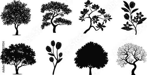 Elegant ornamental flowering trees silhouette design for floral artistry