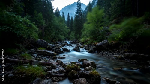 Serene Mountain Stream: A Tranquil Forest Escape
