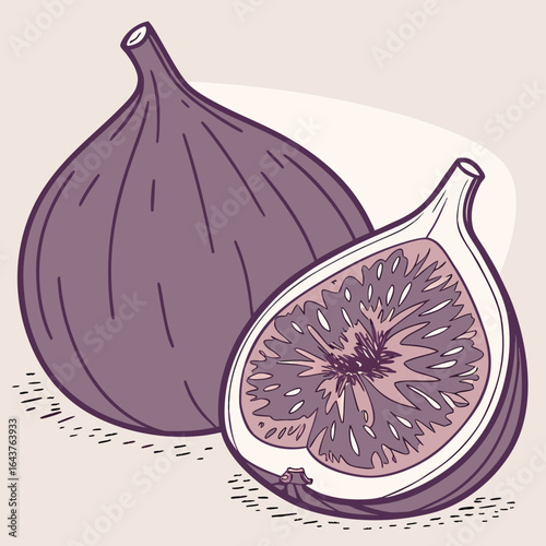 Stylized illustration of a whole purple fig and a sliced half, showcasing the intricate seeds and sweet pulp inside.