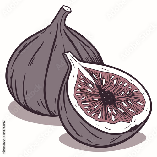 Illustration of two figs, one whole and the other cut in half