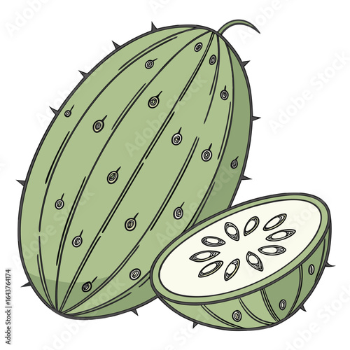 Exotic kiwano horned melon fruit whole and sliced cross-section. Vector illustration of a tropical African horned cucumber.