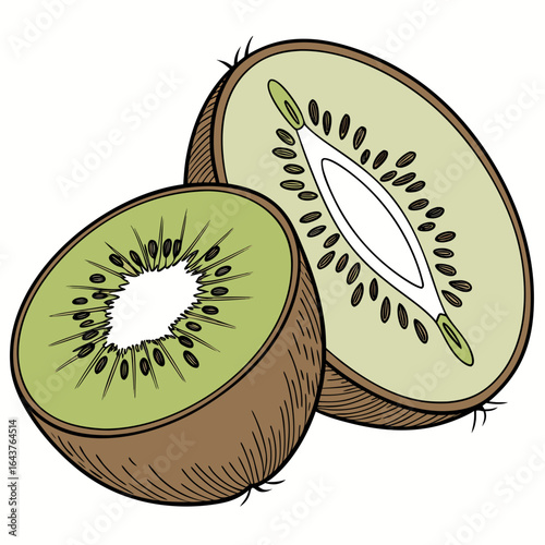 Hand-drawn illustration of a fresh kiwi fruit, one whole and one sliced in half showing its green flesh and black seeds. Vector art for healthy eating concepts.