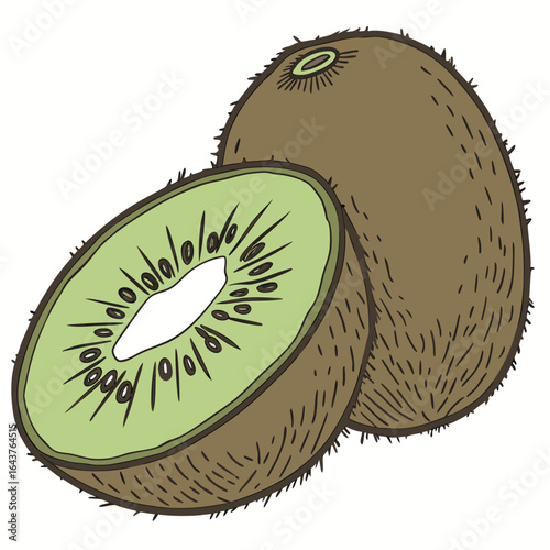 Illustration of a whole and sliced kiwi fruit on a white background