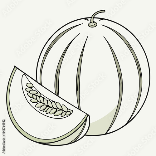 Vector illustration of a ripe melon with a slice showing seeds