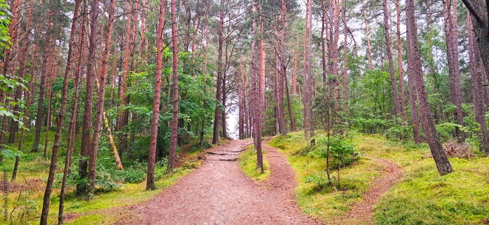 Fototapeta premium trasa rowerowa r10 z krynicy morskiej do mikoszewa nad morzem przez jantar sztutowo stegna
