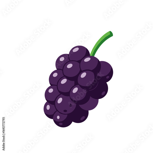 A cluster of ripe purple grapes with a green stem isolated on a white background a healthy fruit option
