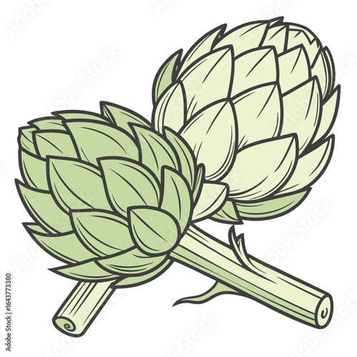 Stylized Green Artichoke Vegetable Illustration with Bold Outlines and Fresh Color Palette