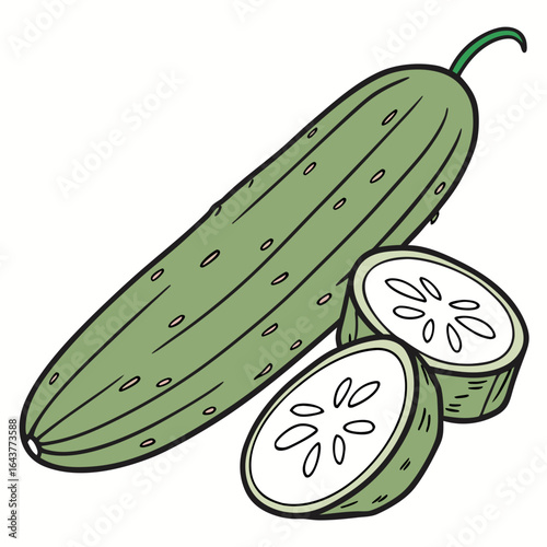 Illustration of a fresh green cucumber and two slices on white