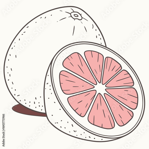 Whimsical Drawing of a Whole and Half Slice of Pink Grapefruit
