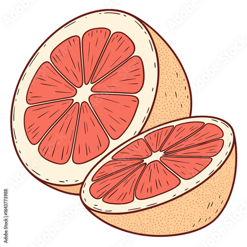 Two halved grapefruit, a juicy and refreshing citrus fruit illustration