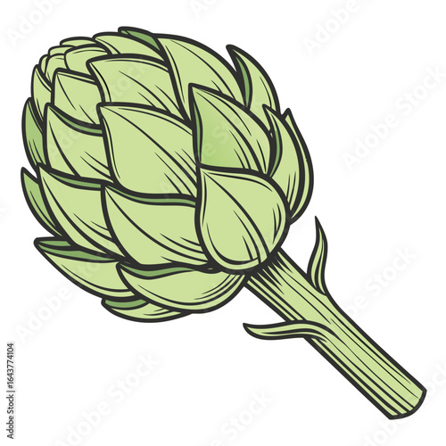 Illustration of a green artichoke with detailed petals and ribbed stem