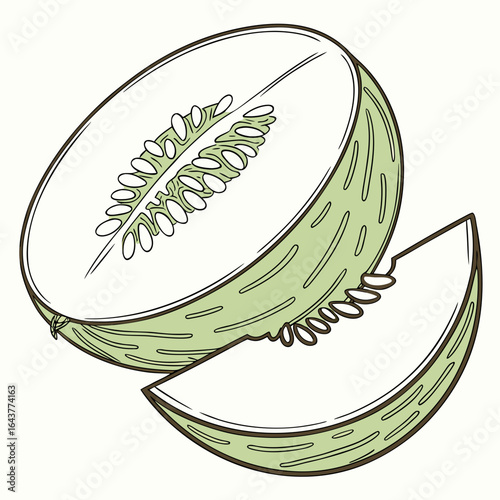 Illustration of a halved Honeydew melon with seeds and a slice