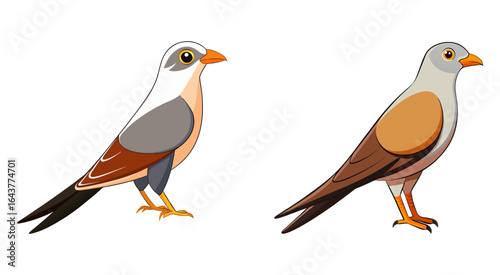 Set of cuckoo bird vector illustration design