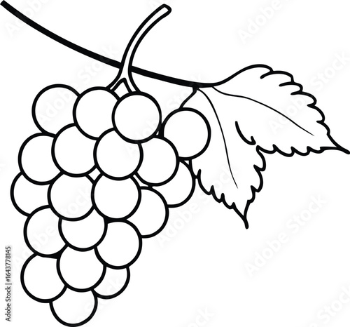 Minimalistic Continuous One-Line Drawing of Grapes