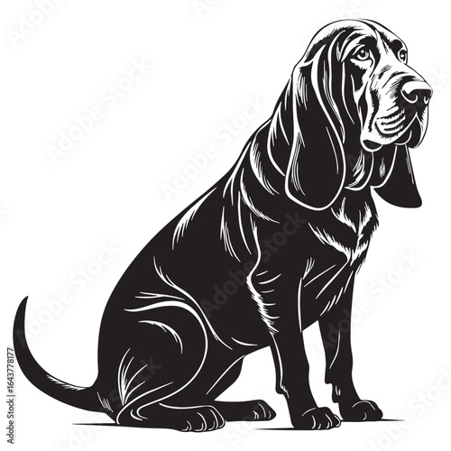 black bloodhound Silhouette Vector, High Quality Illustration on White Background