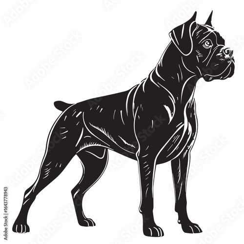 black boxer dog Silhouette Vector, High Quality Illustration on White Background