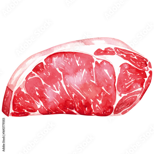 Watercolor Illustration of Raw Sirloin Steak Cut