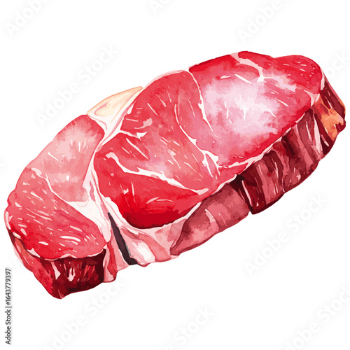Watercolor Illustration of Raw Sirloin Steak Cut