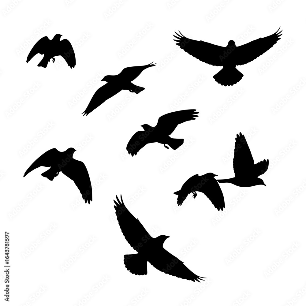 Obraz premium Ethereal silhouettes: A flock of birds soaring against a stark white canvas,Poetry in motion: Avian silhouettes dance in the sky, evoking freedom and tranquility