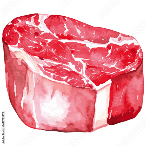Watercolor Illustration of Raw Filet Mignon Beef Cut