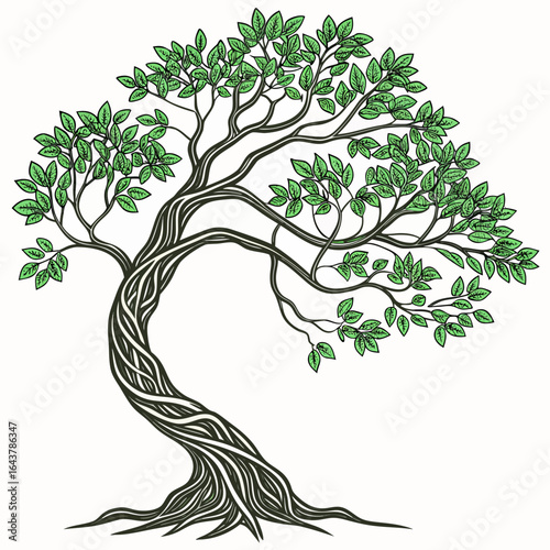 Hand drawn illustration of a tree with twisted trunk and green leaves