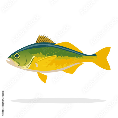 Illustration of a vibrant mahi-mahi fish with green, yellow, and blue colors against a dark background.