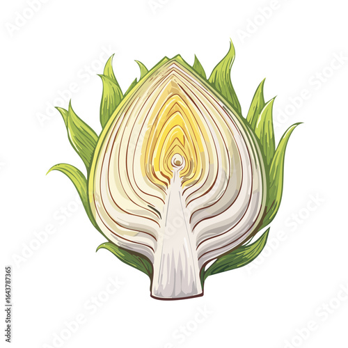 Half Artichoke illustration, section, fresh produce, food ingredient, vegetable