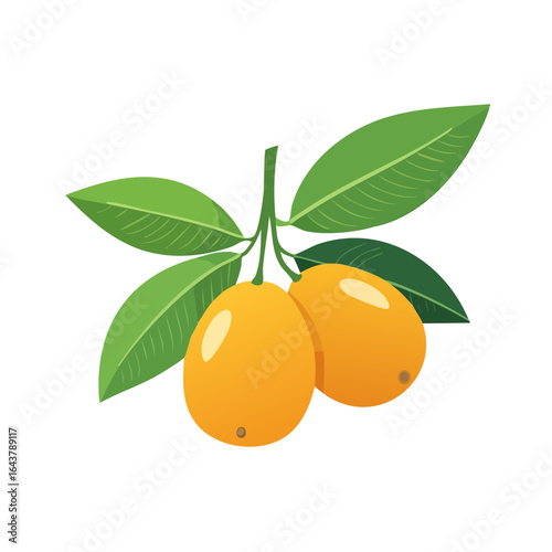 Loquat illustration featuring fresh yellow fruits and vibrant green leaves against a black background, perfect for summer designs