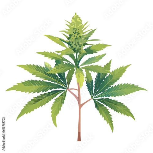 Cannabis plant illustration with leaves and bud against black backdrop