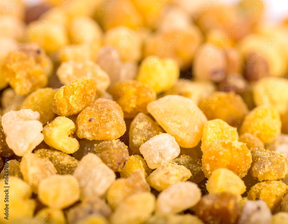 Close-up of pollen granules Close-up of pollen granules