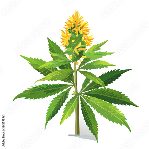Botanical illustration of flowering cannabis plant with green leaves and a yellow bud in detailed vector art on black background.