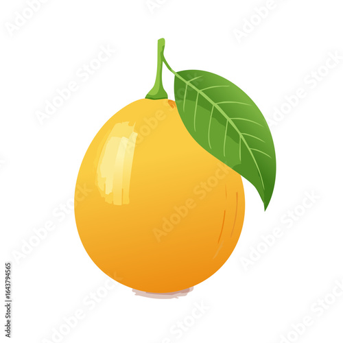 Illustration of ripe orange fruit with leaf against black background single orange icon fresh citrus tropical fruit