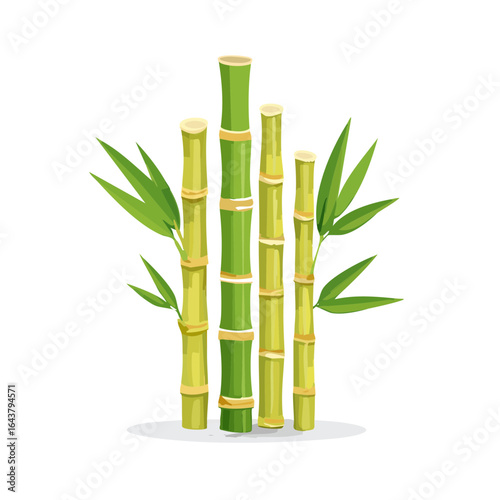 Green bamboo stalks illustration with leaves isolated on black tropical forest foliage nature flora background