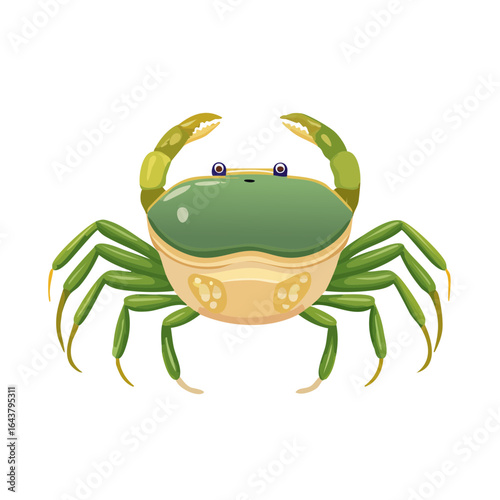 Cartoon green crab illustration with large pincers and small eyes on black background seafood marine life crustacean