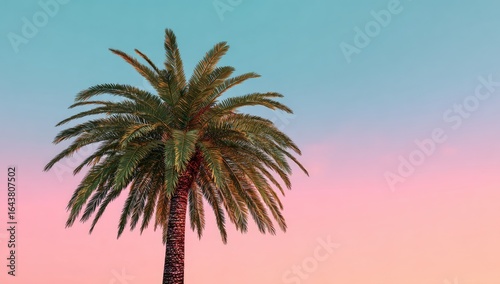 Single palm tree silhouetted against a pastel pink and blue sunset sky