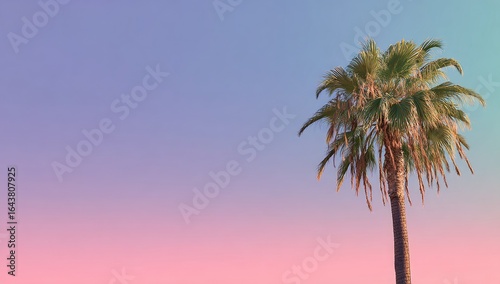 Single palm tree silhouetted against a pastel pink and purple sunset sky.  The sky gradients smoothly from pink to purple to blue