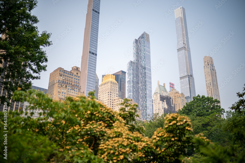 Fototapeta premium Skyline of modern skyscrapers rises above lush greenery in urban setting during a clear day in the city