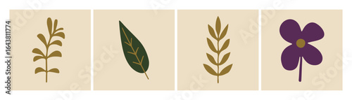Colección de elementos botánicos simples. Formas orgánicas, conjunto vectorial dibujado a mano.