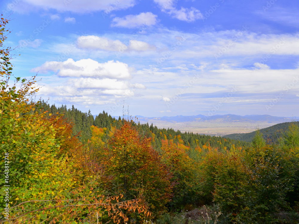 Fototapeta premium Autumn colours and blue skies in the Carpathian Mountains 