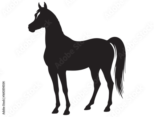 ARABIAN HORSE SILHOUETTE 