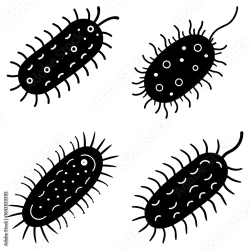 Illustration of four black and white bacteria cells with different internal structures on a white background